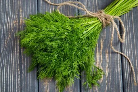 تصویر 5 از خرید عمده اینترنتی سبزی شوید خشک صادراتی + قیمت مناسب